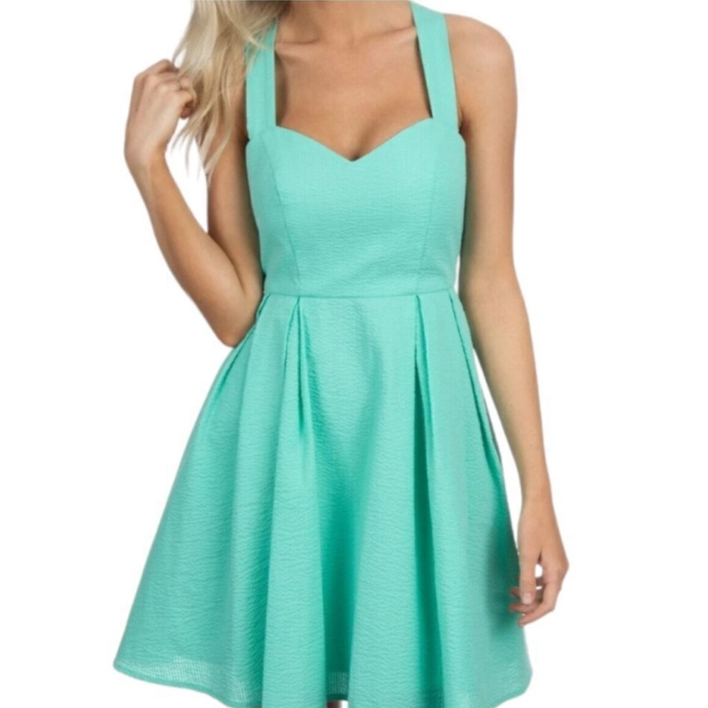 Elegant Lauren James LivingstonMint seersucker Green Sleeveless Dress Large